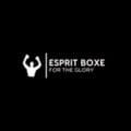 Code Promo Esprit Boxe