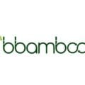 Code Promo bbamboo