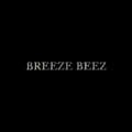 Code Promo Breeze Beez