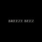 Code Promo Breeze Beez