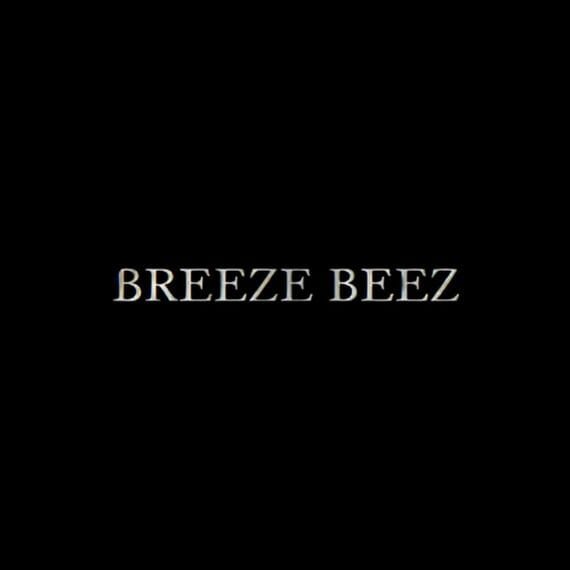 Code Promo Breeze Beez