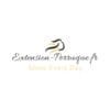 Code Promo Extension Perruque