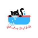 Code Promo Splendeur Des Chats