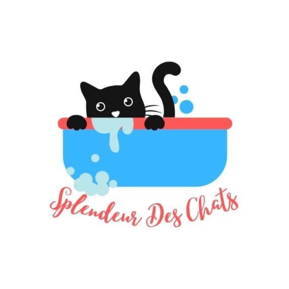 Code Promo Splendeur Des Chats