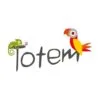 Code Promo Totem Team