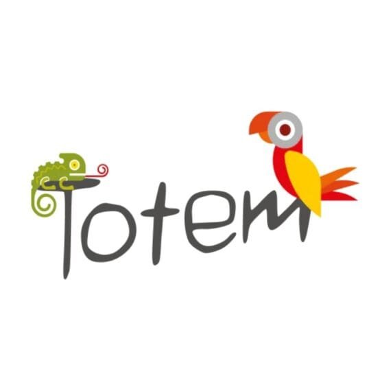 Code Promo Totem Team