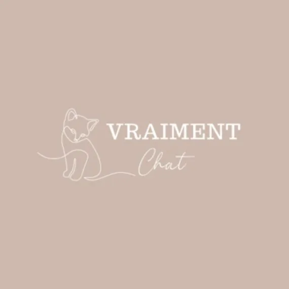 Code Promo Vraiment Chat